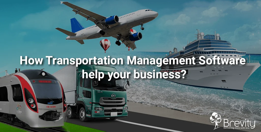 How transportation management software help your business?