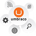 Umbraco Development